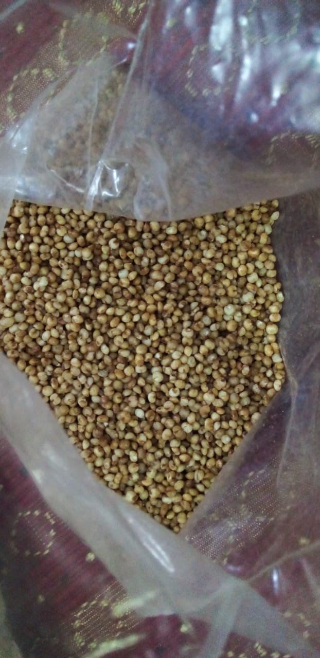 Kuthiraivalli