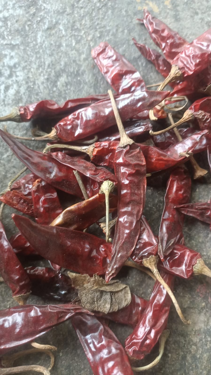 red chilli